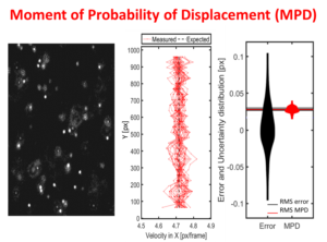 Uncertainty estimation for ensemble particle image velocimetry